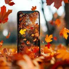Jesienna tapeta na telefon: Dodaj jesienne akcenty do telefonu